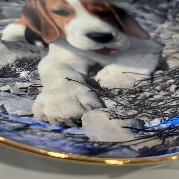 BEAGLES lovers plate by Simon‎ Mendez - Picture 6 of 10